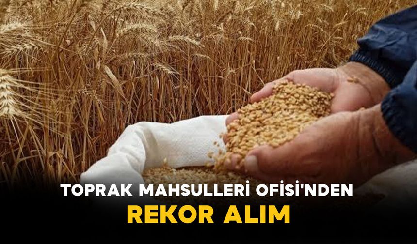 Toprak Mahsulleri Ofisi'nden Rekor Alım