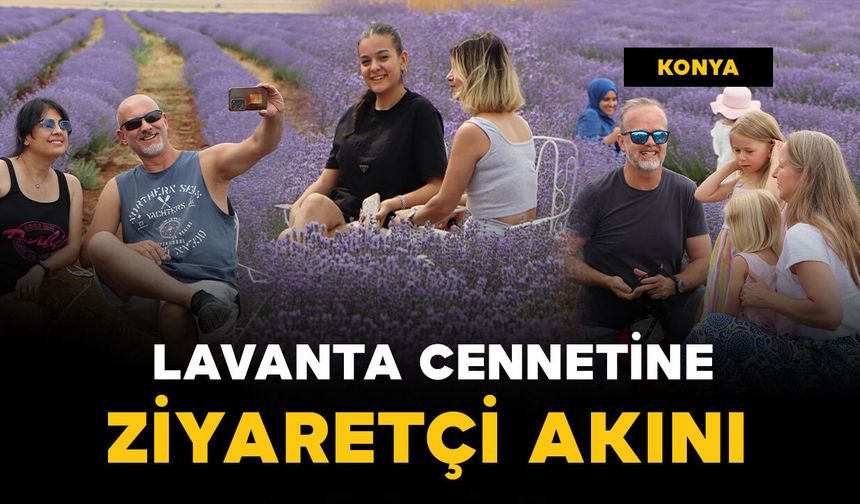 Yoldan geçenler mor lavanta tarlasını görünce durmadan edemiyor