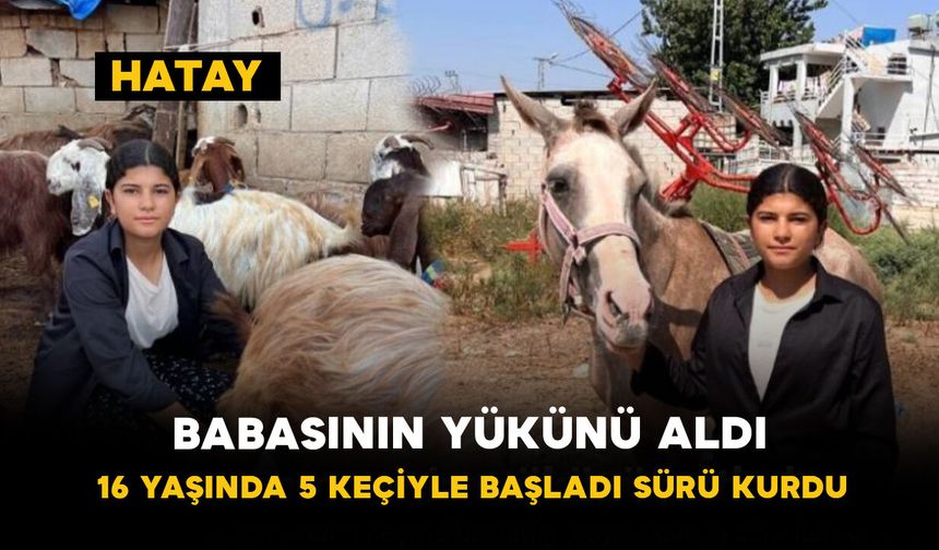 Babasının Yükünü Aldı: 16 Yaşında 5 Keçiyle Başladı Sürü Kurdu