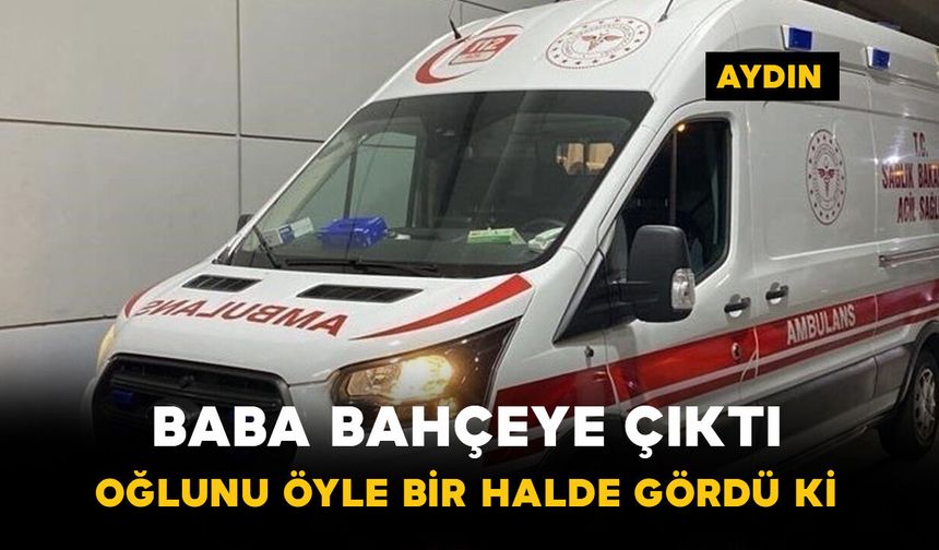 Gece bahçeye çıktı hayatının şokunu yaşadı!