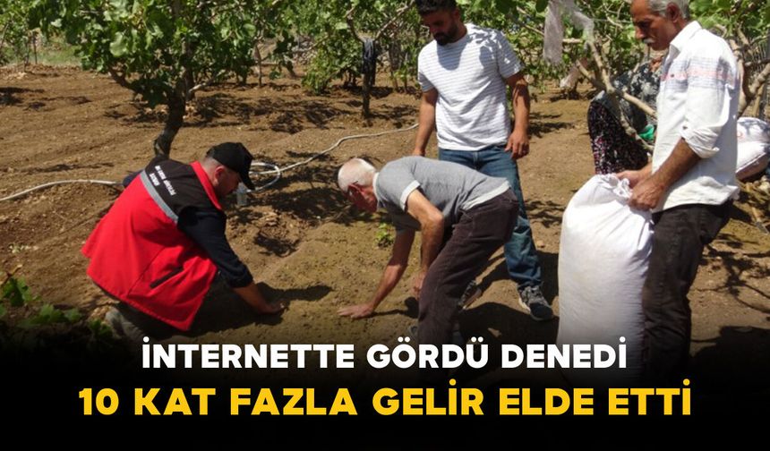 İnternette Görüp Denedi: 10 Metrekareden 800 Metrekareye
