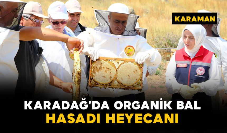 Karadağ’da Organik Bal Hasadı Heyecanı