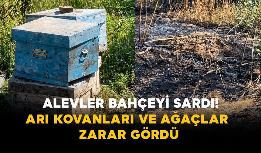 Karaman’da Alevler Bahçeyi Sardı! Arı Kovanları ve Ağaçlar Zarar Gördü