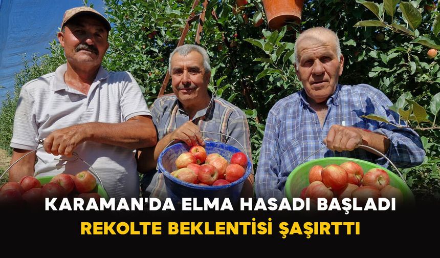 Karaman'da Elma Hasadı Başladı: Rekolte Beklentisi Şaşırttı