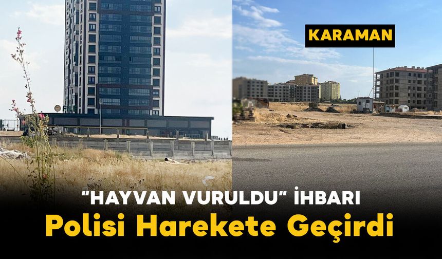 Karaman'da "Hayvan Vuruldu" İhbarı Polisi Harekete Geçirdi