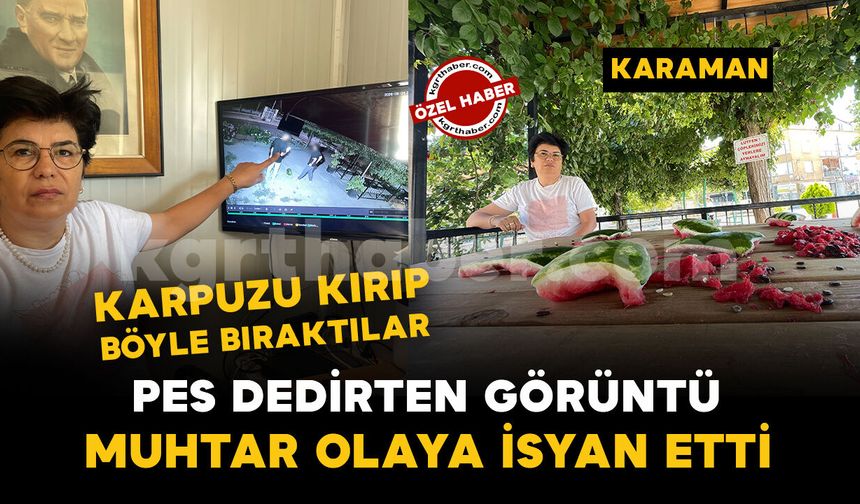 Karaman'da pes dedirten görüntü: karpuzu yumruklayıp yediler, artıklarını kamelyada bıraktılar