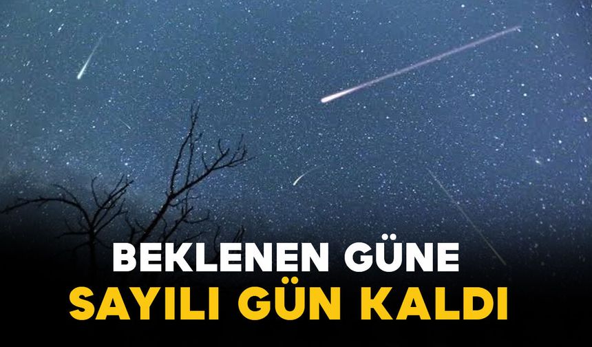 Perseid Meteor yağmuru ne zaman? Sayılı gün kaldı