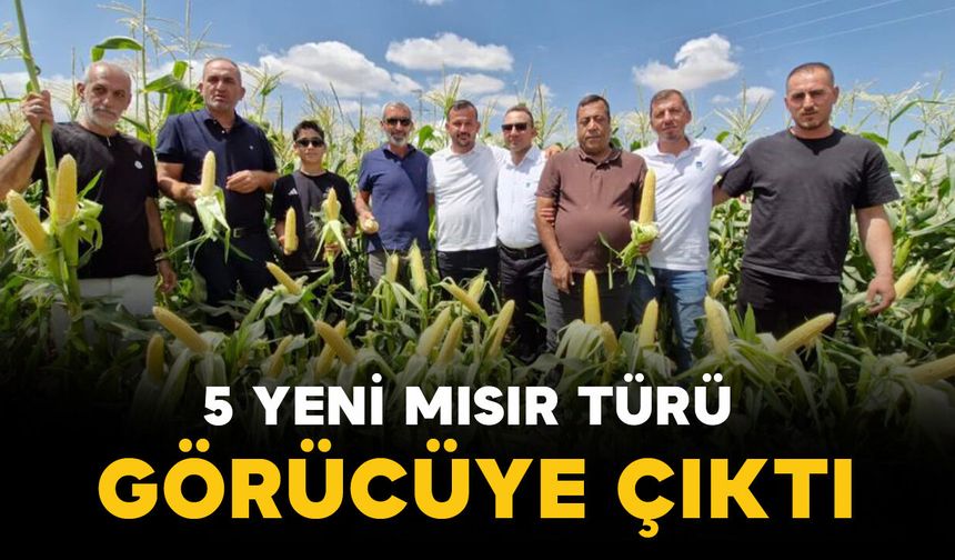 Türkiye’den 45 ülkeye uzanan tohumlar Karaman’da üreticiyle buluştu