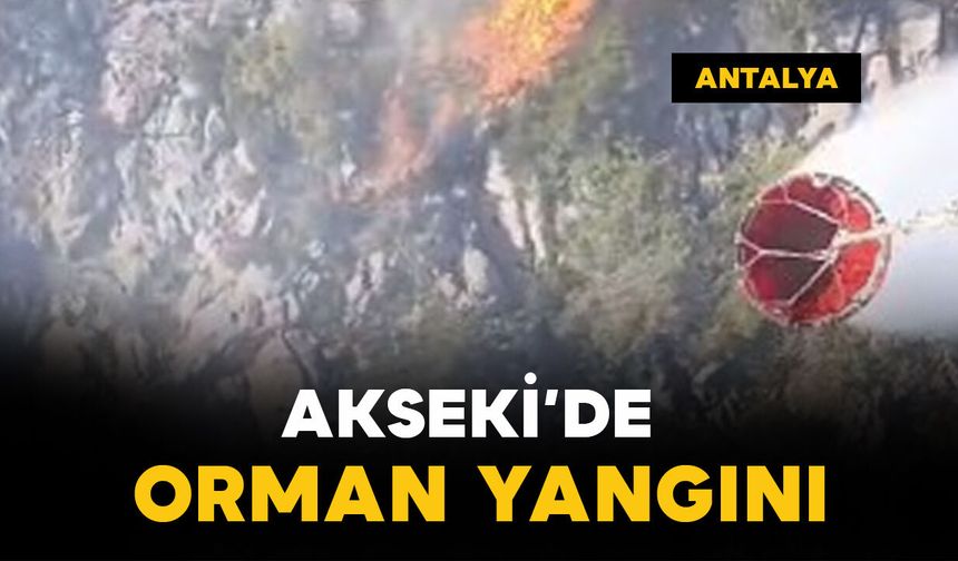 Antalya Akseki’de orman yangını