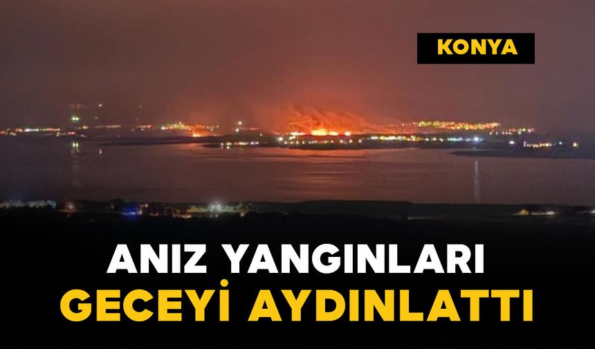 Geceyi aydınlatan yangınlar korkuttu