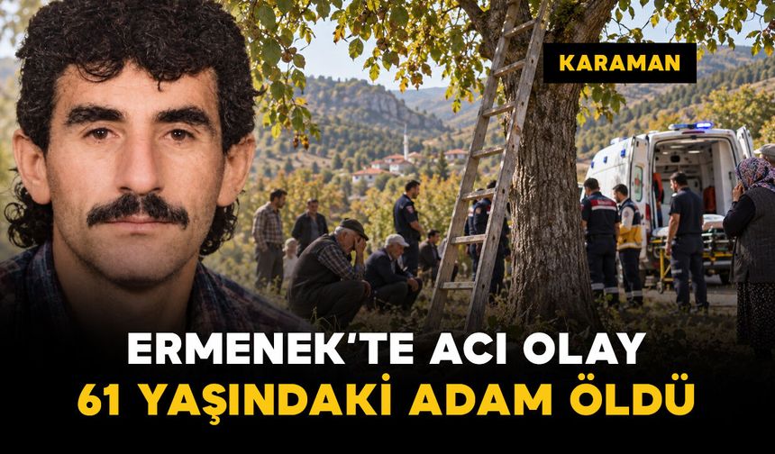 Karaman Ermenek'te ceviz ağacından düşen adam hayatını kaybetti