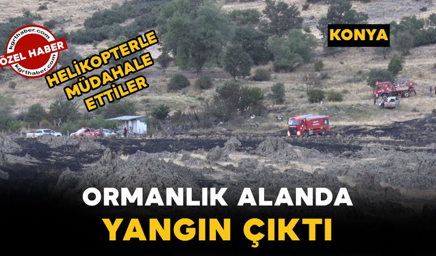 Konya’da ormanda yangın