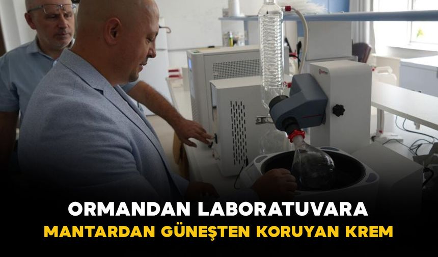 Ormandan Laboratuvara: Mantardan Güneşten Koruyan Krem