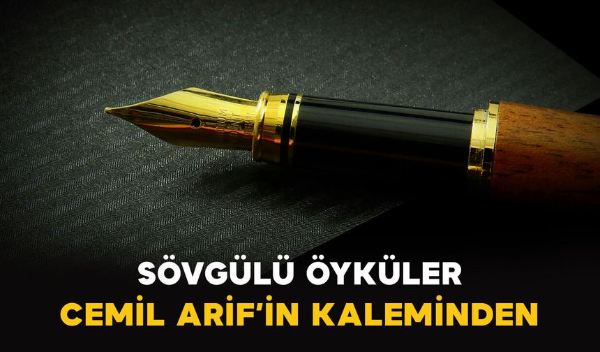 SÖVGÜLÜ ÖYKÜLER