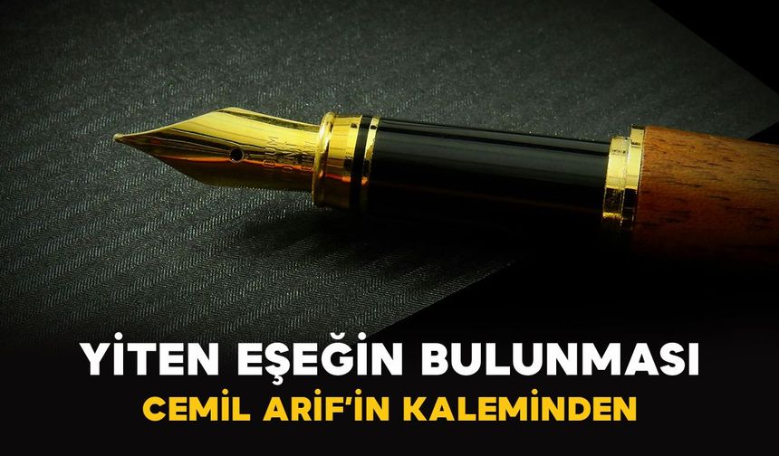 Cemil Arif: Yiten Eşeğin Bulunması
