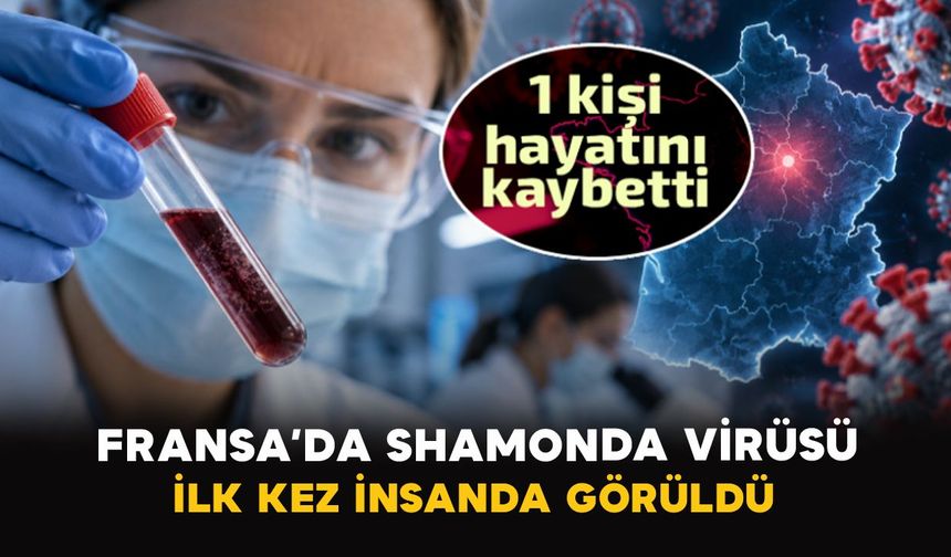 Fransa’da Shamonda virüsü ilk kez insanda görüldü
