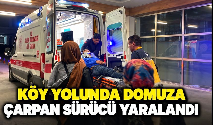 Karaman’da rahatsızlanan babasını ambulansa teslim eden sürücü domuza çarptı: 1 yaralı