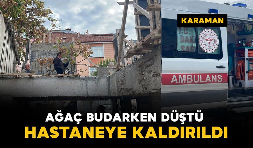 Karaman'da ağaç budarken düşen şahıs yaralandı