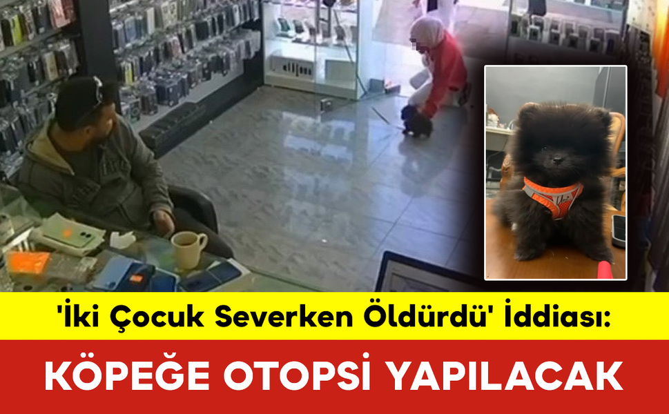 'İki Çocuk Severken Öldürdü' İddiası: Köpeğe Otopsi Yapılacak