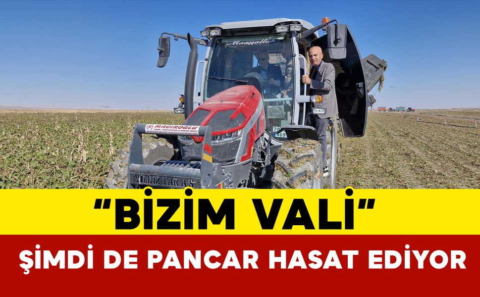 "Bizim Vali" Şimdi de Pancar Hasat Ediyor