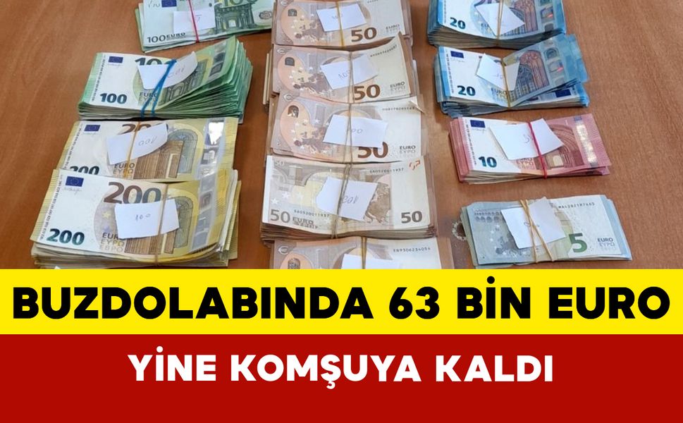 Buzdolabına sakladığı 62 bin 770 euro gümrükte yakalandı