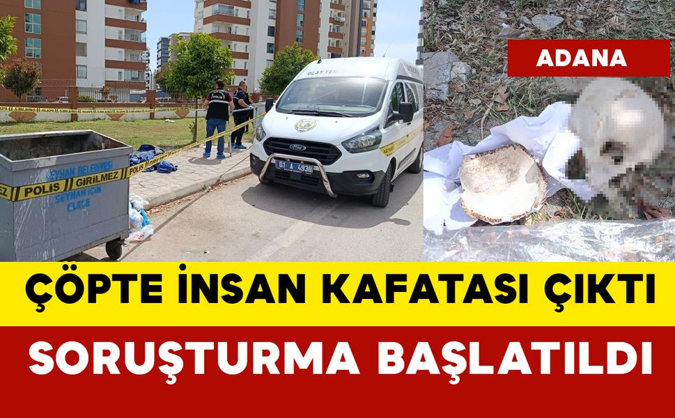 Çöp konteynerinde kağıda sarılı poşette insan kafatası çıktı