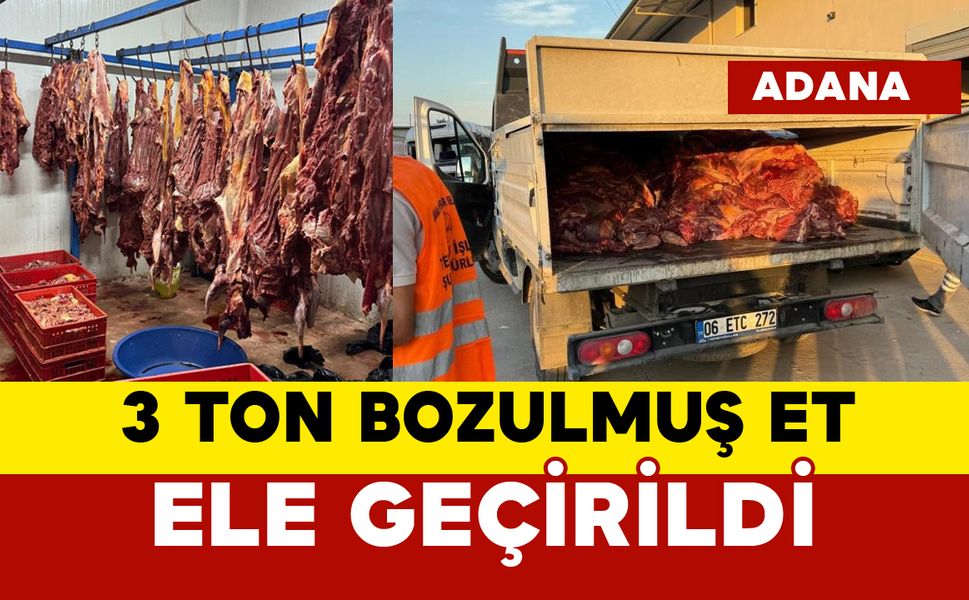 Jandarma 3 ton bozulmuş et ele geçirdi