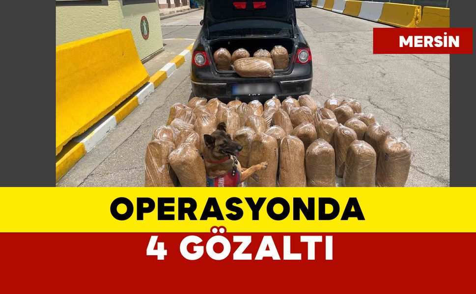 Kaçak tütün ve makaron operasyonunda 4 gözaltı
