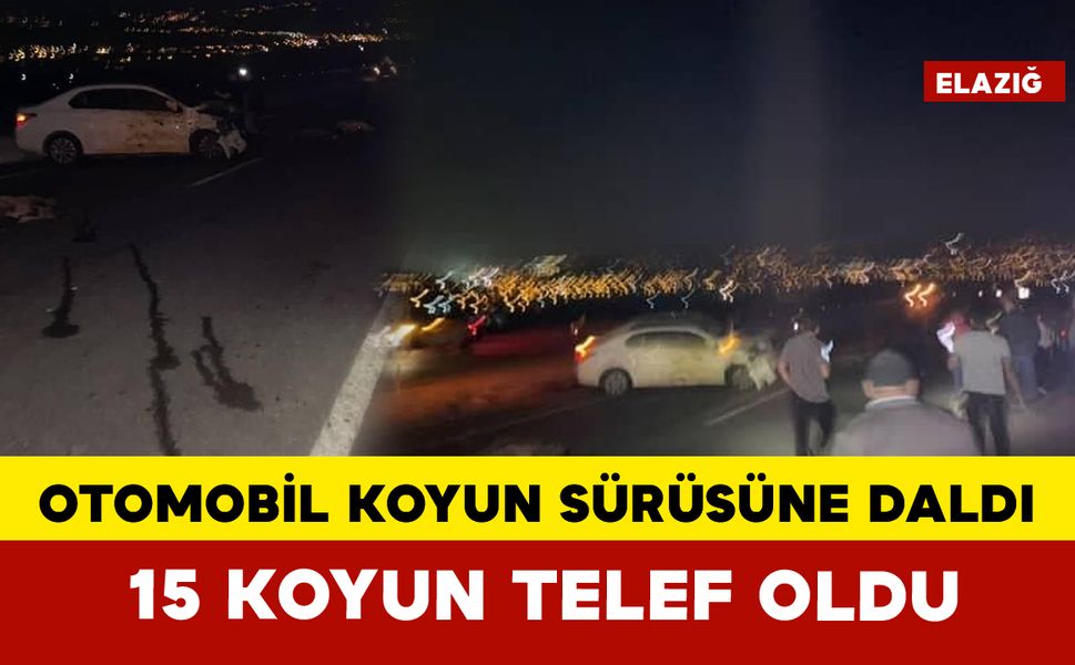 Otomobil koyun sürüsüne daldı: 15 koyun telef oldu