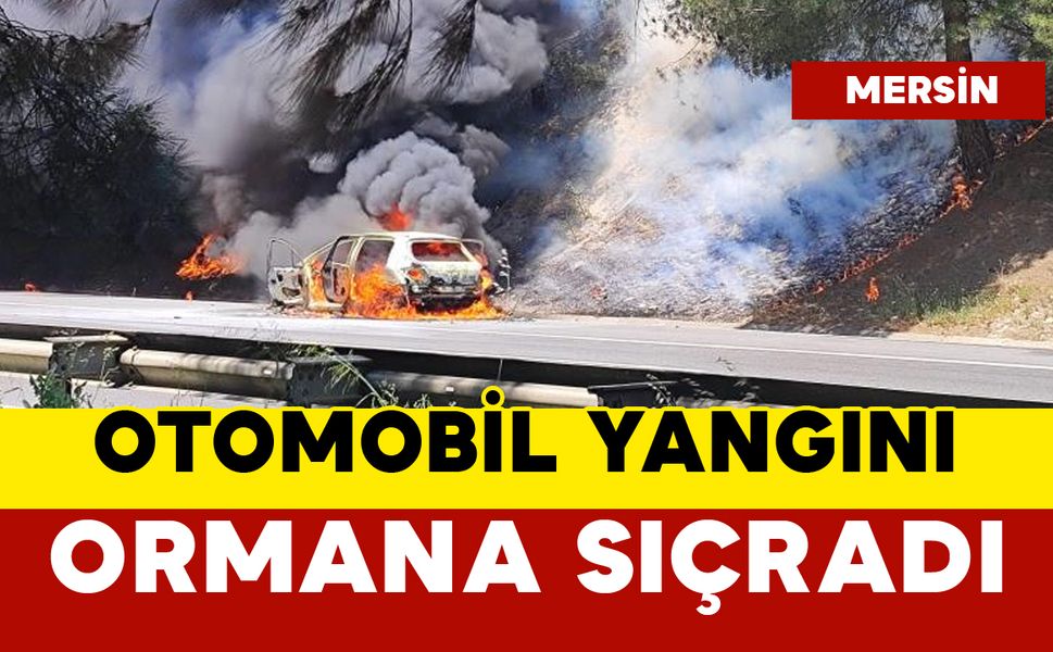 Otomobilde çıkan yangın ormana sıçradı