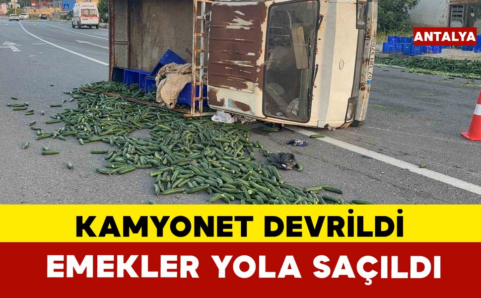 Salatalık yüklü kamyonet devrildi: Salatalıklar yola savruldu
