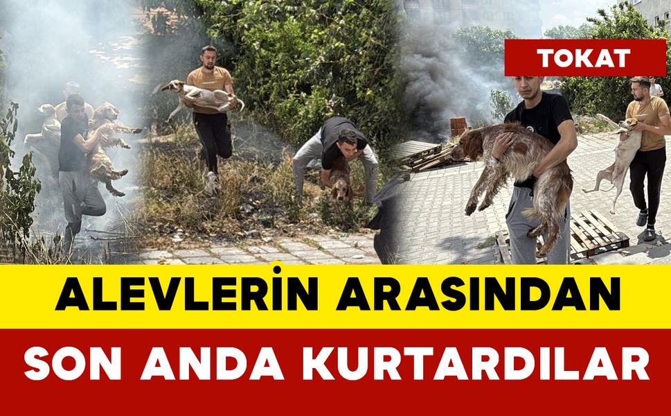 Köpekler yanmaktan son anda kurtarıldı