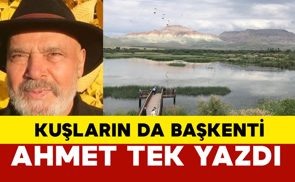 Kuşların da Başkenti!