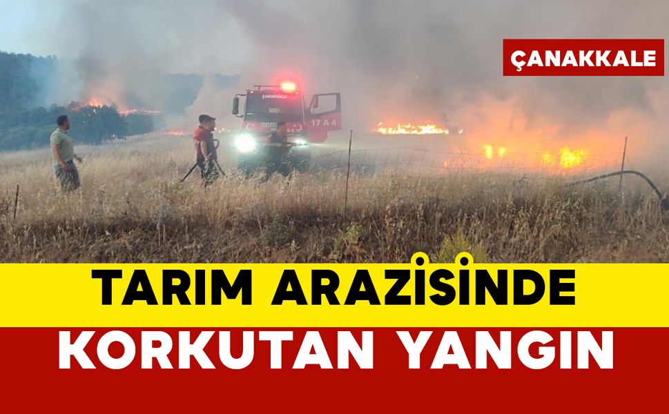 Tarım arazisinde korkutan yangın