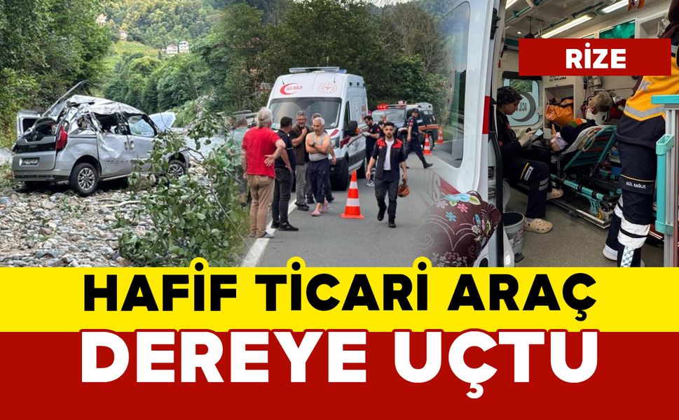 Hafif ticari araç 15 metreden dereye uçtu