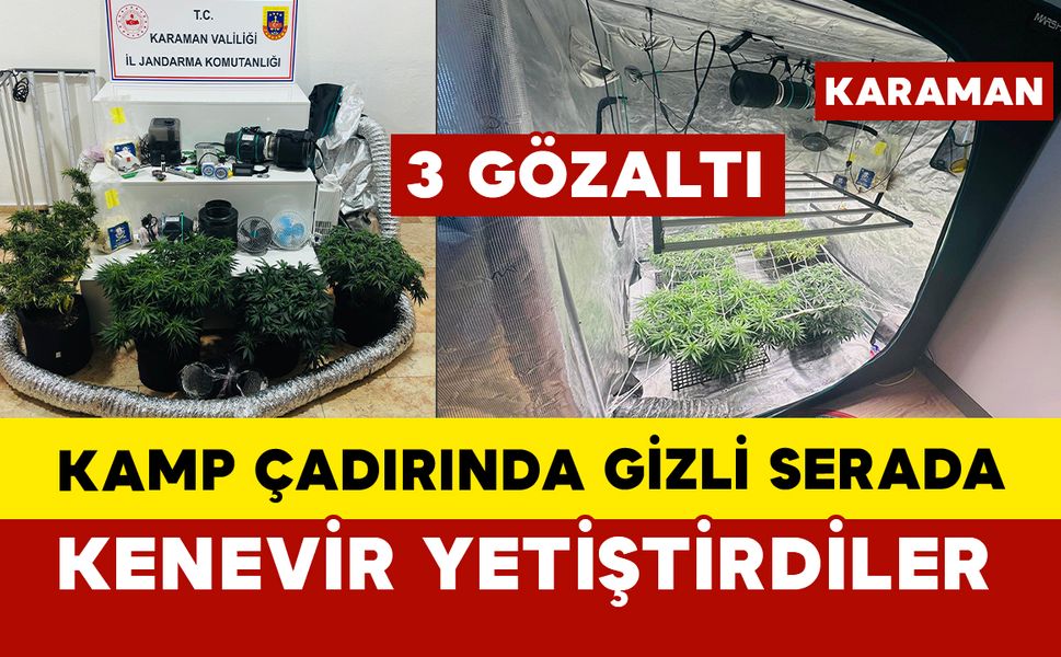Kamp çadırında gizli serada kenevir yetiştirdiler: 3 gözaltı