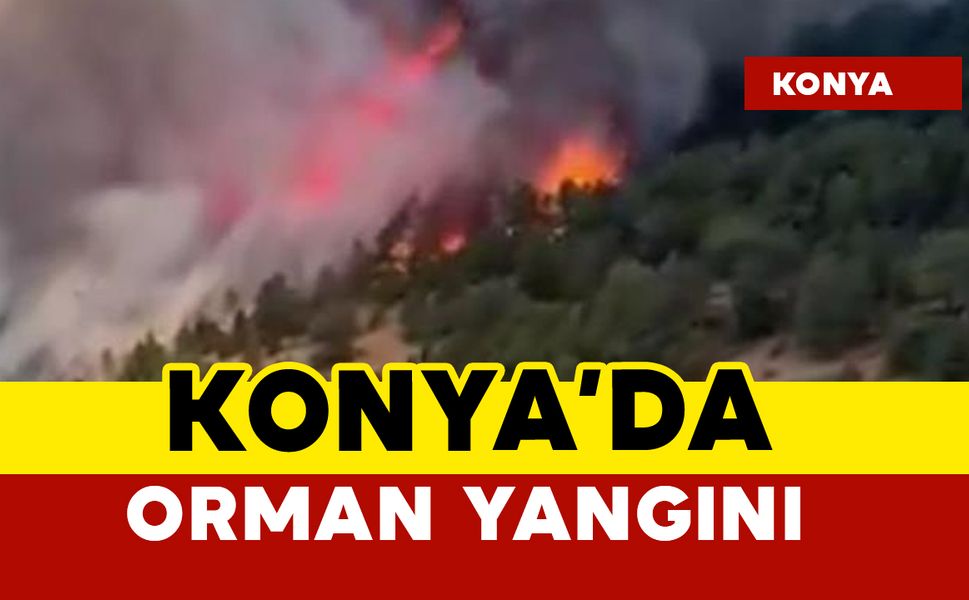 Konya'da orman yangını