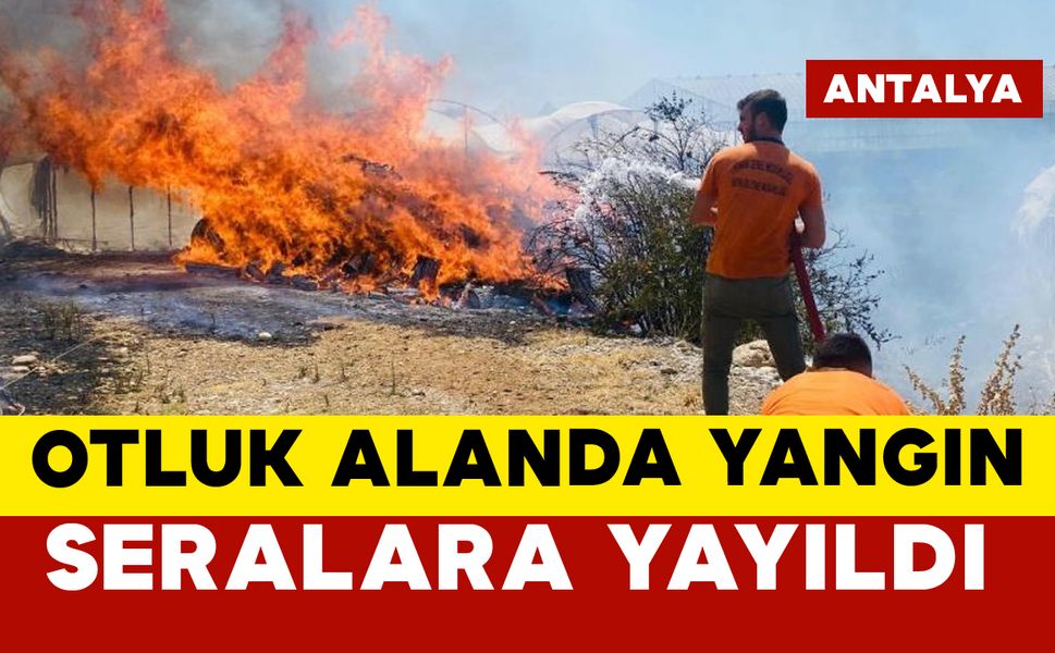 Yangın seralara yayıldı