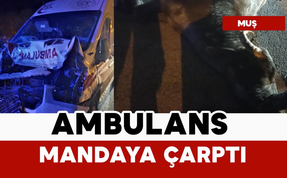 Ambulans mandaya çarptı