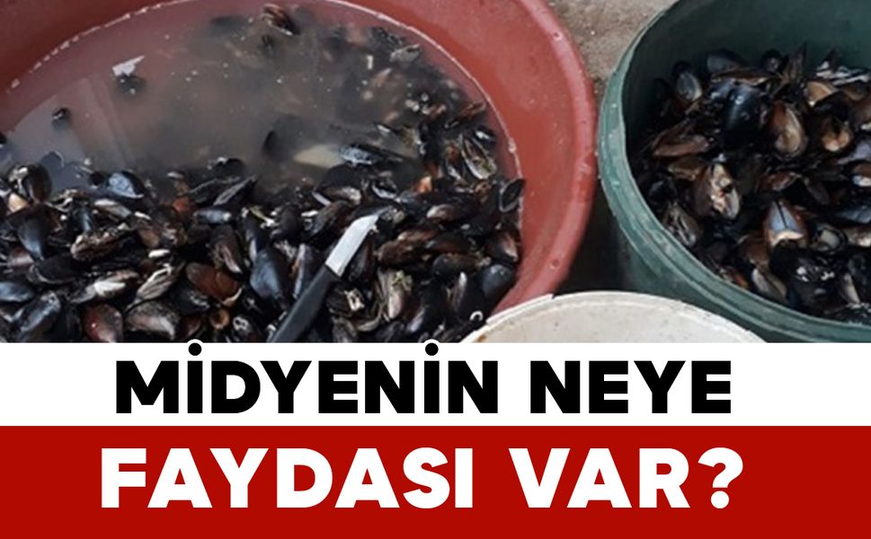Midyenin Neye Faydası Var?