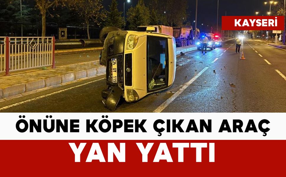 Önüne köpek çıkınca yan yattı: 2 yaralı