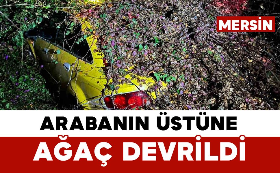 Sürücüsünün içinde olduğu otomobilin üzerine ağaç devrildi