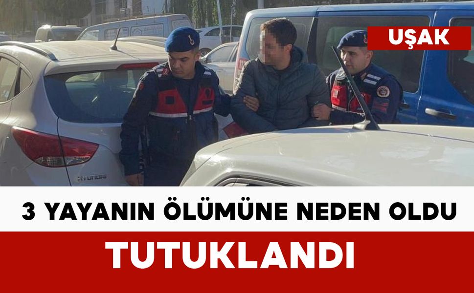 3 yayanın ölümüne neden olan sürücü tutuklandı