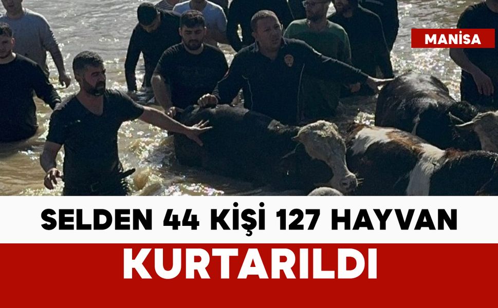 44 kişi ve 127 hayvan kurtarıldı