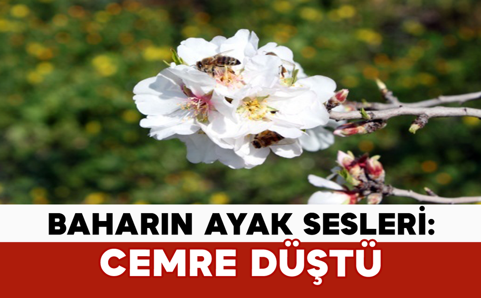 Baharın Ayak Sesleri: Cemre Düştü