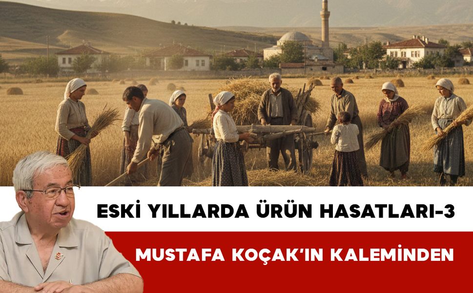 Eski Yıllarda Ürün Hasatları-3