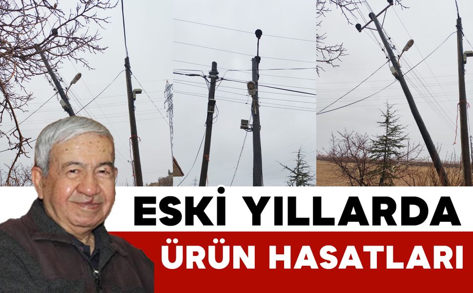 ESKİ YILLARDA ÜRÜN HASATLARI