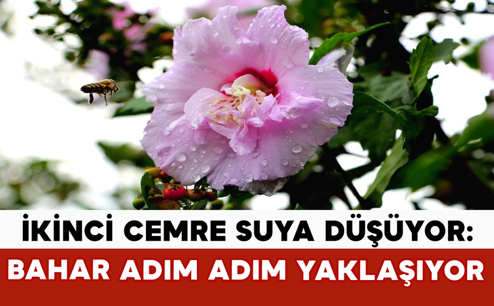 İkinci Cemre Suya Düşüyor: Bahar Adım Adım Yaklaşıyor