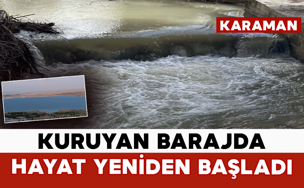 Kuruyan Barajda Hayat Yeniden Başladı