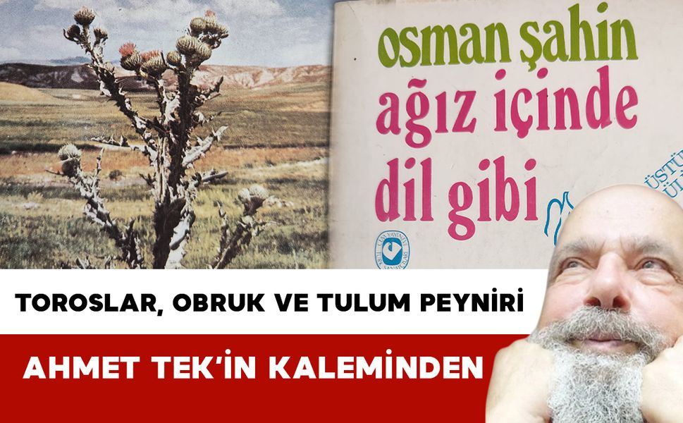 Toroslar, Obruk ve Tulum Peyniri